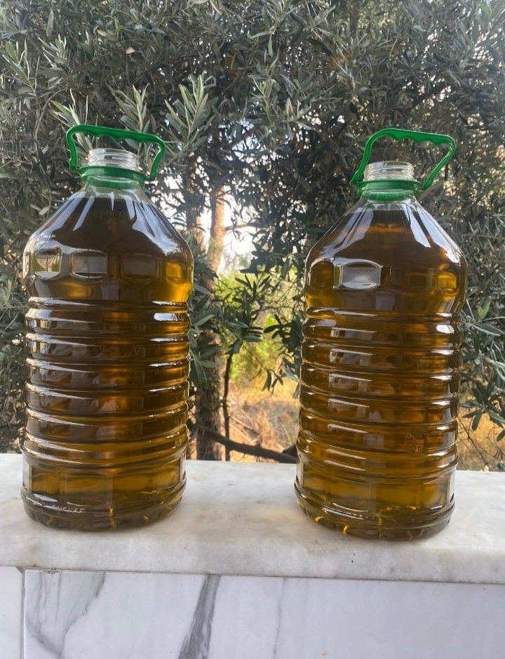 Zeytinyağı
